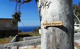 Liolio's Manor